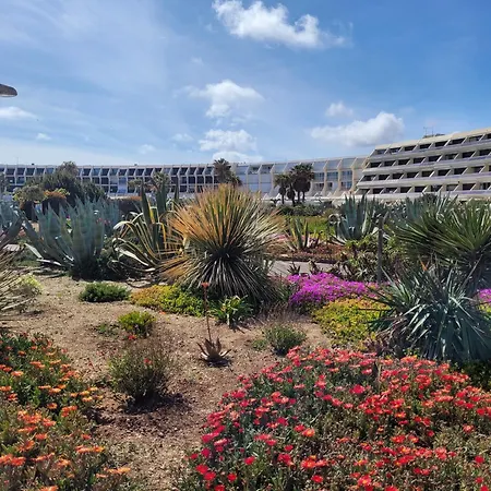 Apartament Avec Terrasse Heliopolis Agde