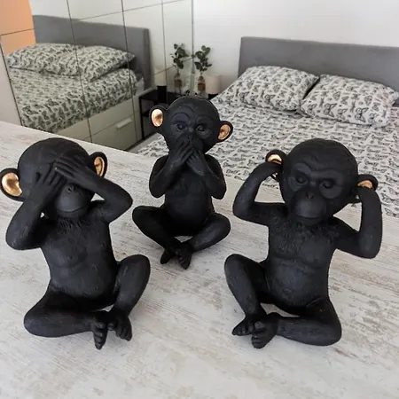 Avec Terrasse Heliopolis *