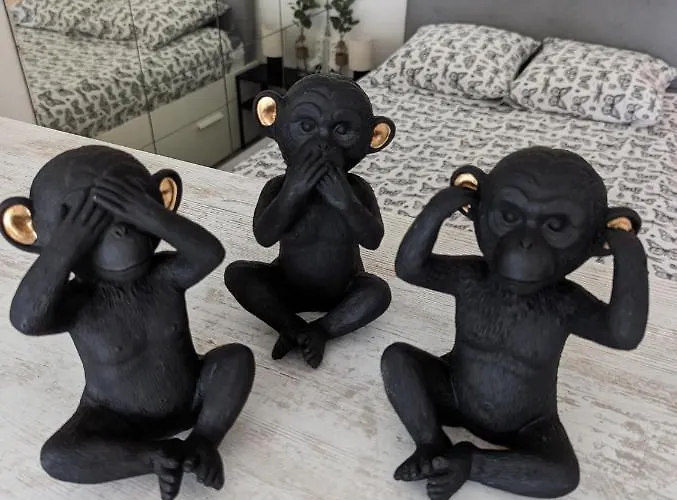 Avec Terrasse Heliopolis *